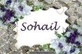 sohail wazir