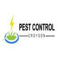 Pest Control Croydon