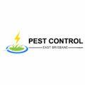 Pest Control East Brisbane