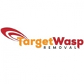 Target Wasp Removal  Adelaide