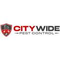 City Wide Cockroach Removal Brisbane