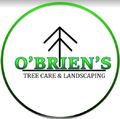 obriens Treecare