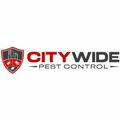 City Wide Pest Control Adelaide