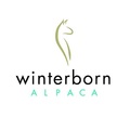 Winterborn Alpaca