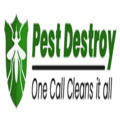 Pest Control Adelaide